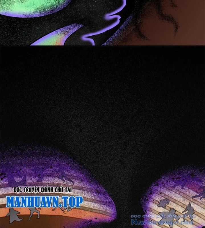 Cường Giả Đến Từ Trại Tâm Thần Chương 347 trang 41