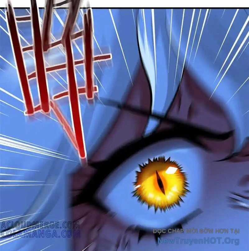 Cường Giả Đến Từ Trại Tâm Thần Chương 351 trang 110