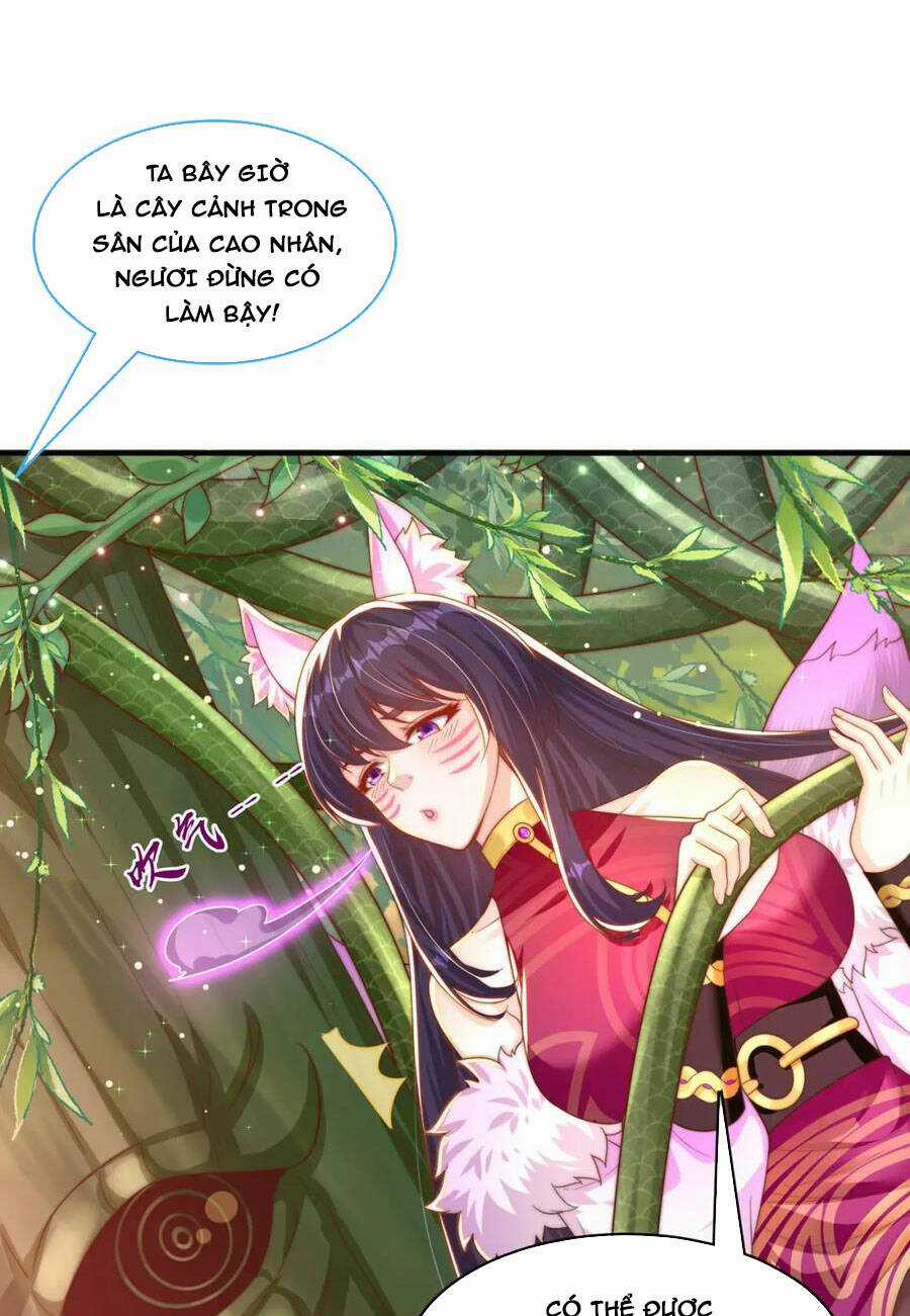 Cường Giả Tuyệt Thế Chỉ Muốn Làm Ruộng Chapter 75 trang 1