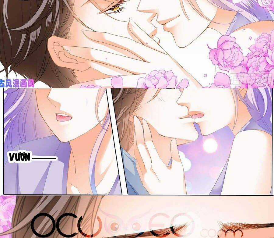 Cuồng Nhiệt Boss, Sủng Thê Xin Kiềm Chế Chapter 104 trang 4