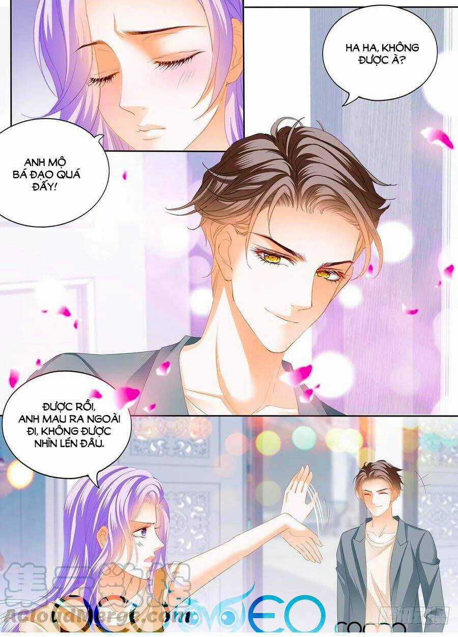 Cuồng Nhiệt Boss, Sủng Thê Xin Kiềm Chế Chapter 108 trang 5