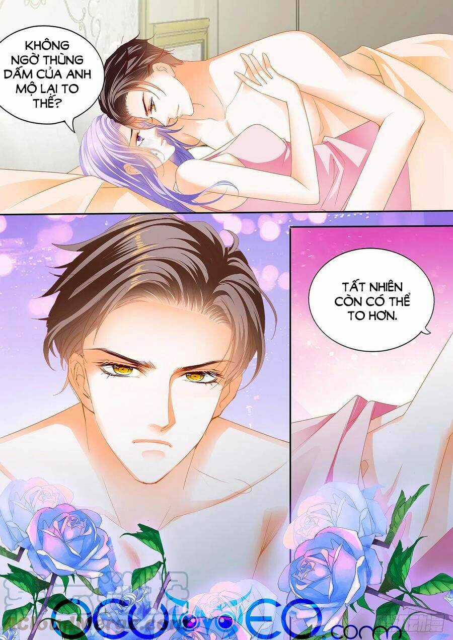 Cuồng Nhiệt Boss, Sủng Thê Xin Kiềm Chế Chapter 118 trang 3