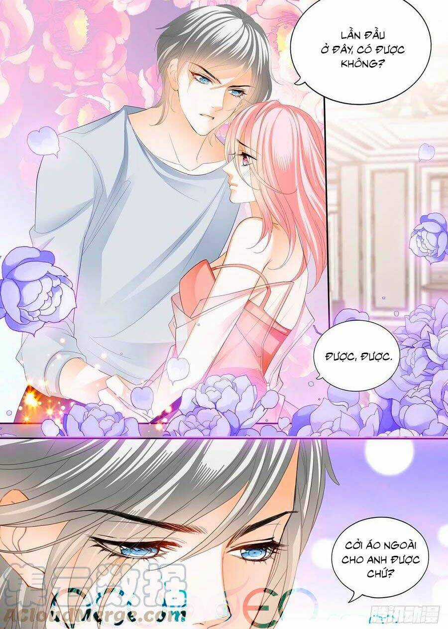 Cuồng Nhiệt Boss, Sủng Thê Xin Kiềm Chế Chapter 126 trang 5