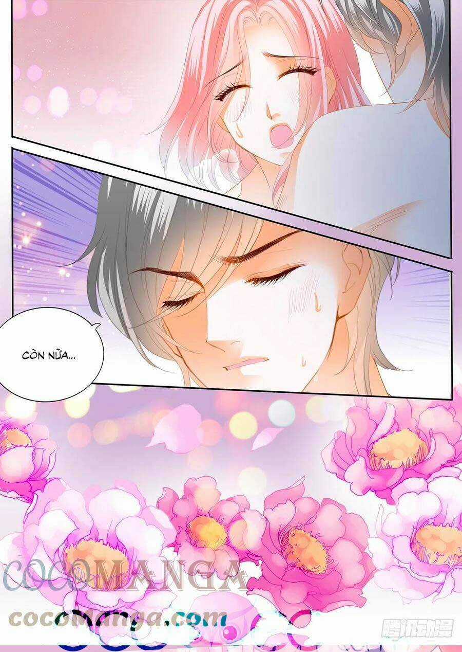 Cuồng Nhiệt Boss, Sủng Thê Xin Kiềm Chế Chapter 127 trang 6