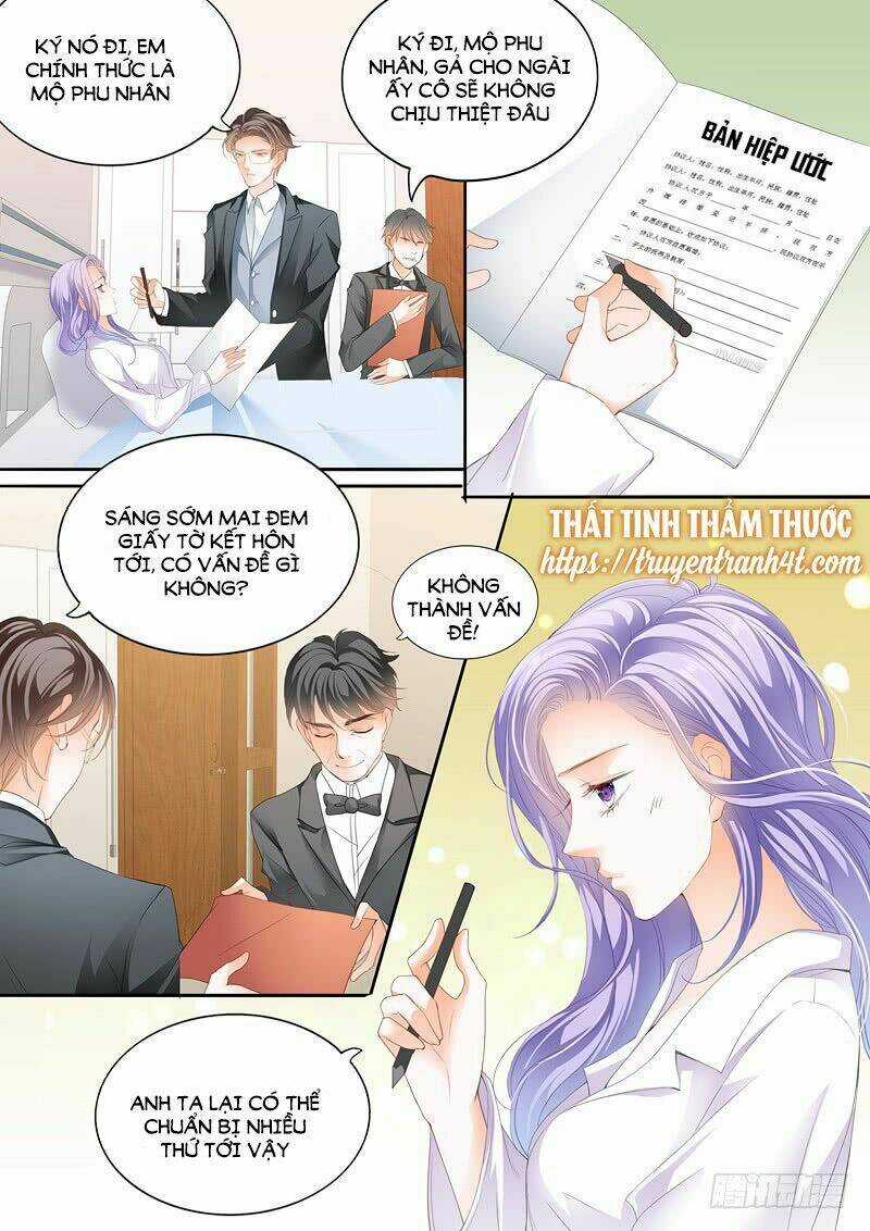 Cuồng Nhiệt Boss, Sủng Thê Xin Kiềm Chế Chapter 2 trang 11