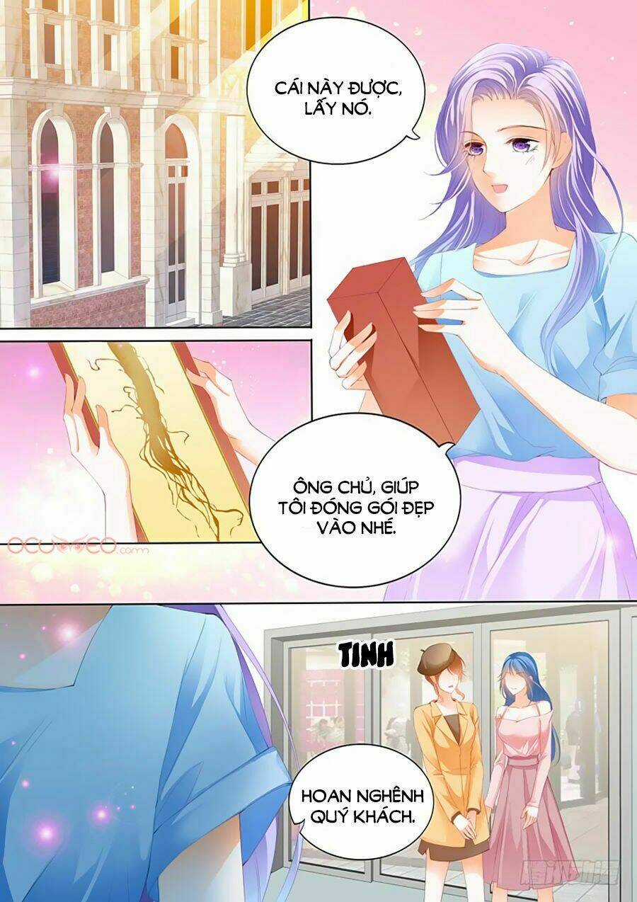 Cuồng Nhiệt Boss, Sủng Thê Xin Kiềm Chế Chapter 9 trang 5