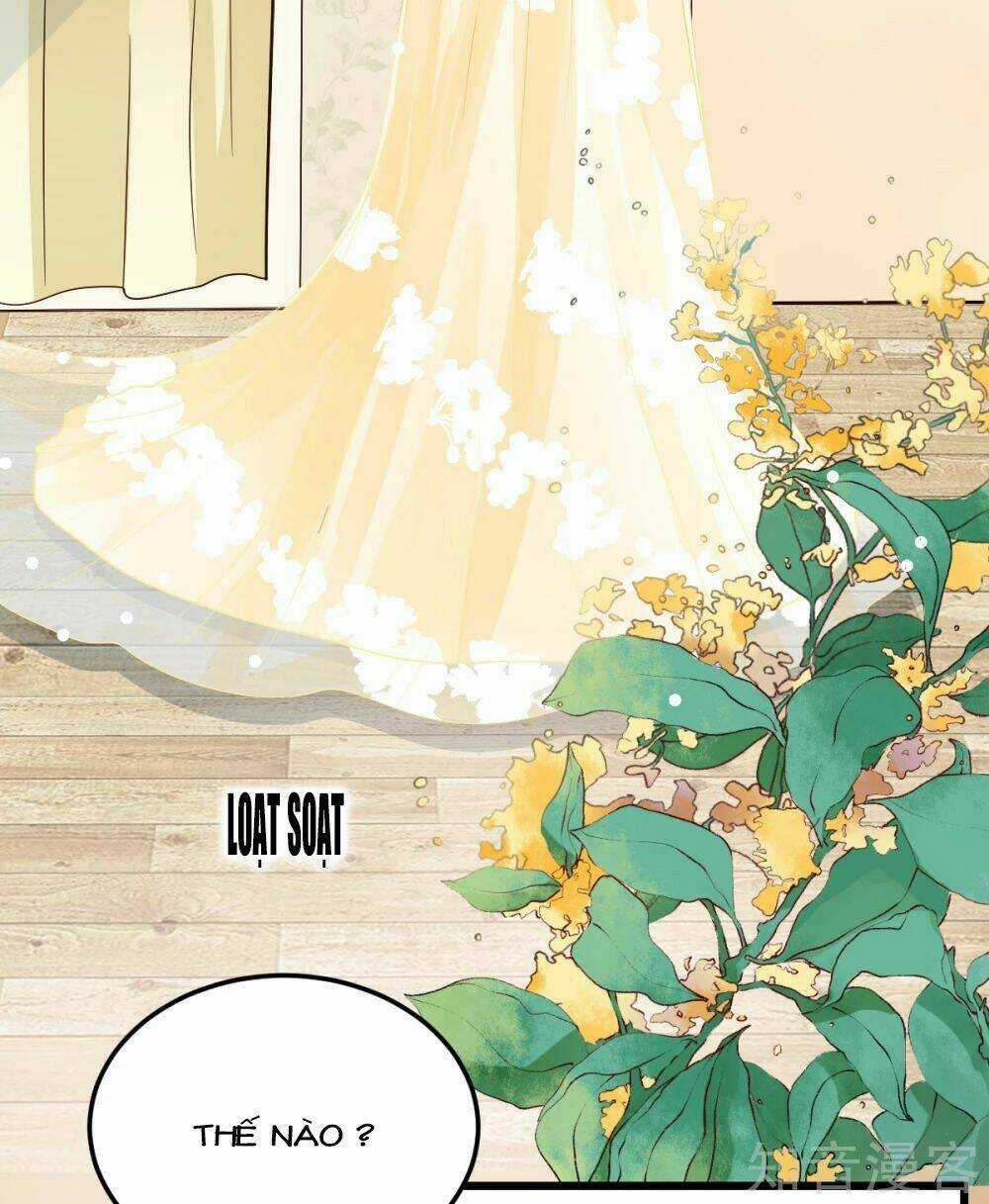 Cường Thế Tù Ái - Địch Thiếu Đừng Xằng Bậy Chapter 18 trang 17