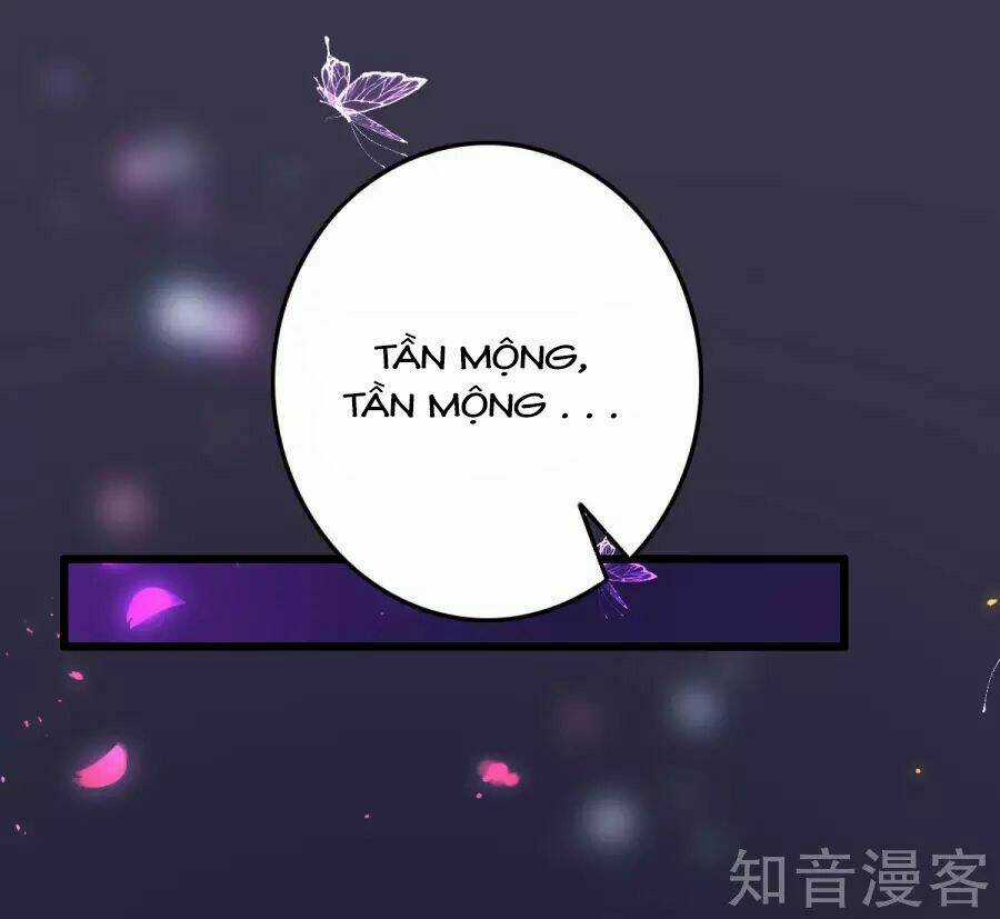 Cường Thế Tù Ái - Địch Thiếu Đừng Xằng Bậy Chapter 2 trang 51