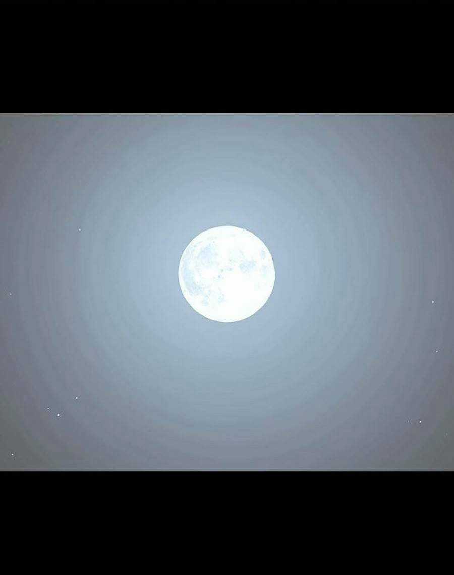 Cuồng Thú Chapter 1 trang 40