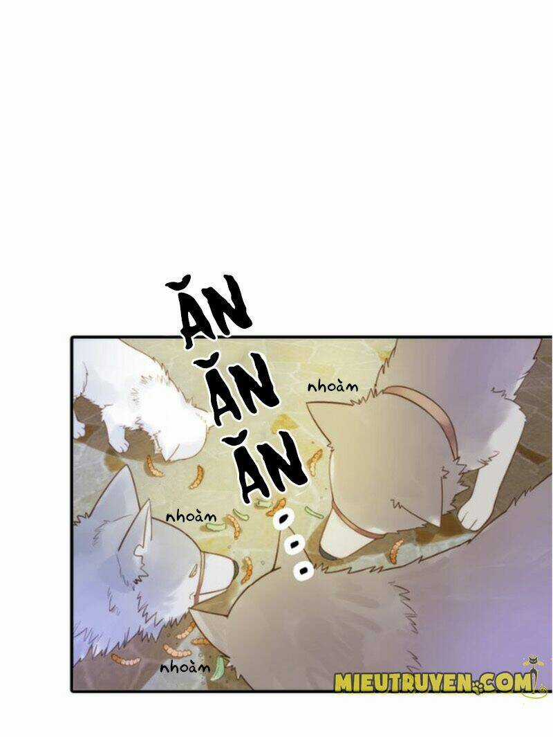 Cướp Chàng Vợ Về Đón Năm Mới Chapter 10 trang 25