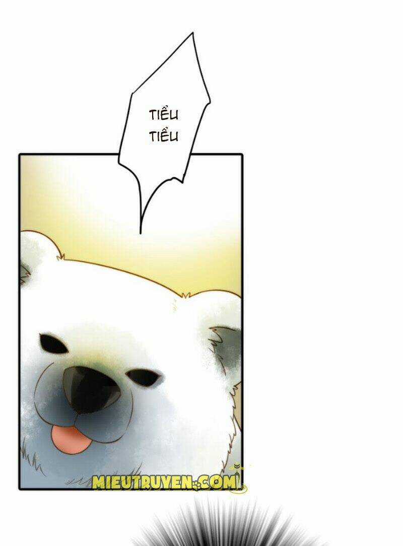 Cướp Chàng Vợ Về Đón Năm Mới Chapter 13 trang 20