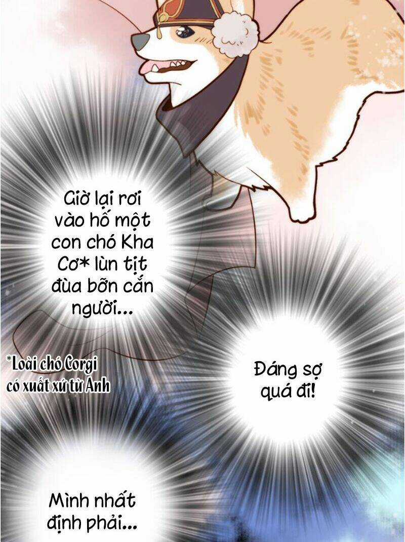 Cướp Chàng Vợ Về Đón Năm Mới Chapter 2 trang 48