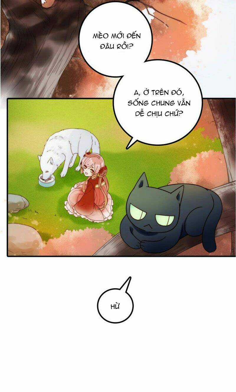 Cướp Chàng Vợ Về Đón Năm Mới Chapter 37 trang 3