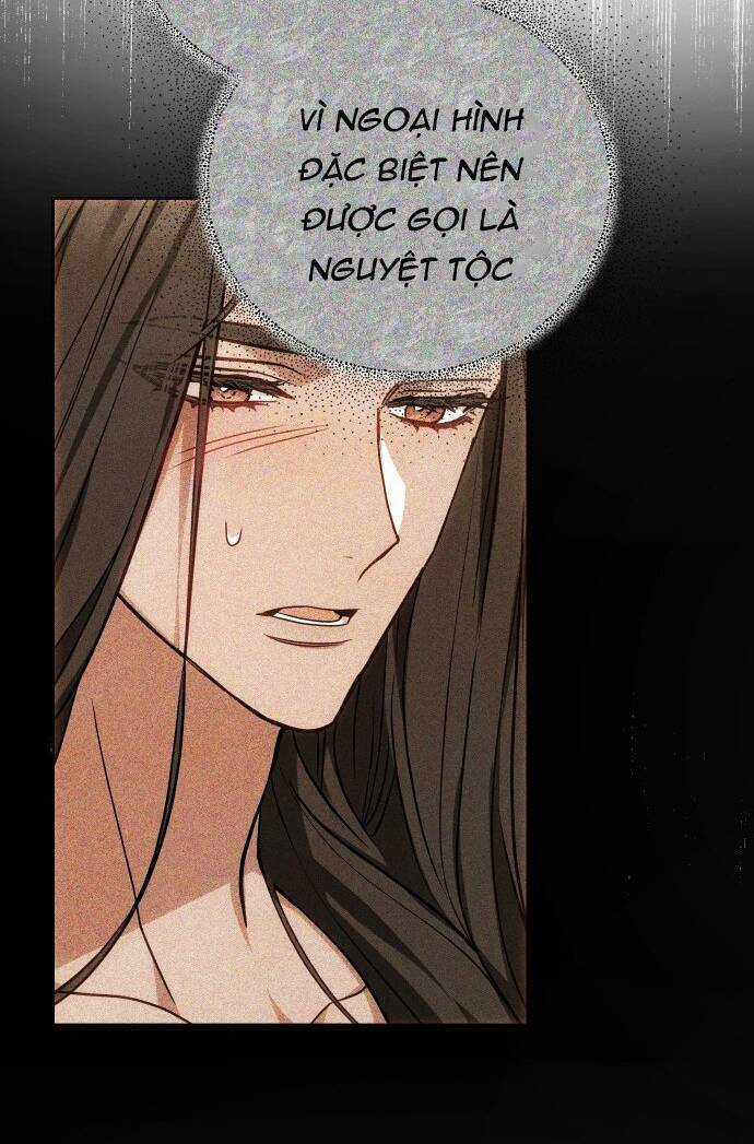 Cướp Dâu Chapter 65.1 trang 37