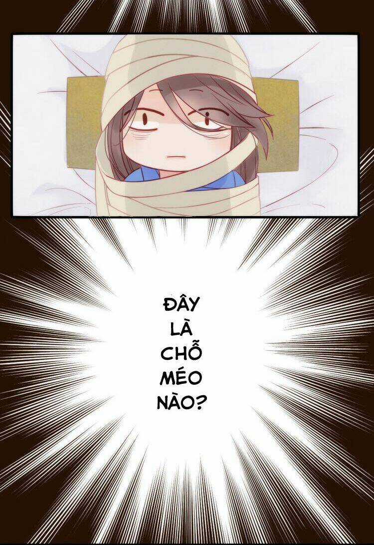 Cướp Lấy Nàng Dâu Mừng Năm Mới Chapter 2 trang 2