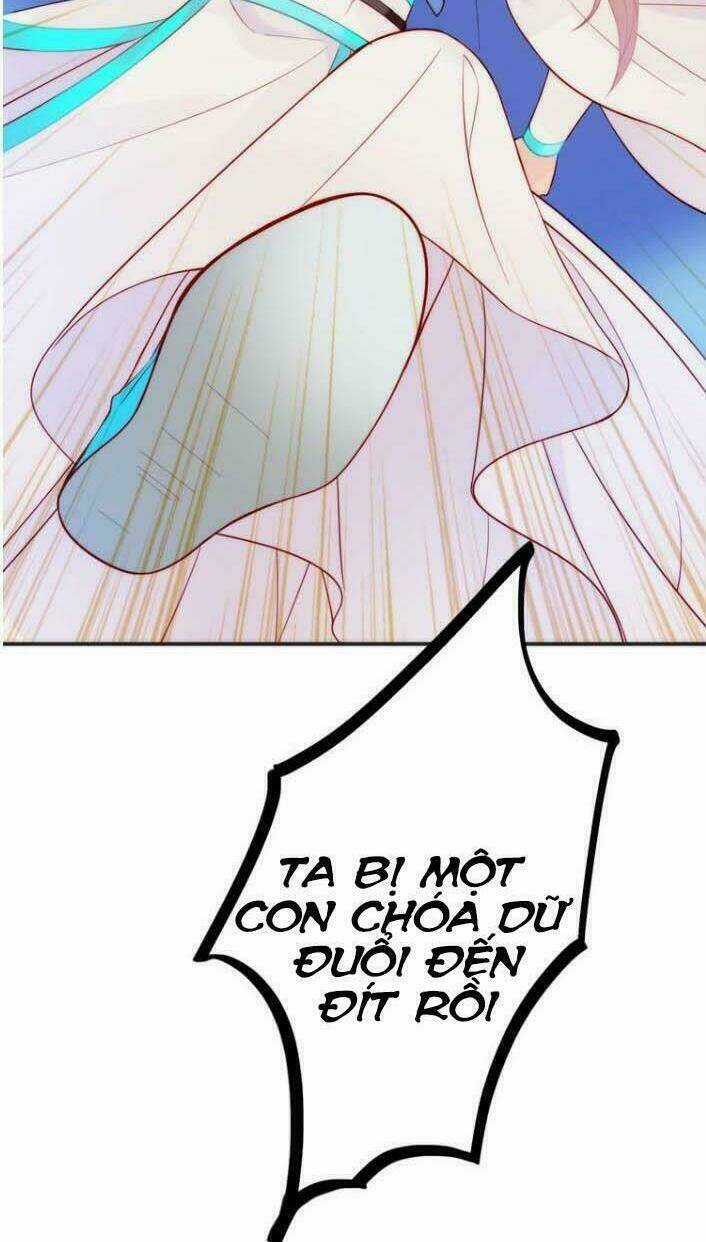 Cướp Lấy Nàng Dâu Mừng Năm Mới Chapter 4 trang 10