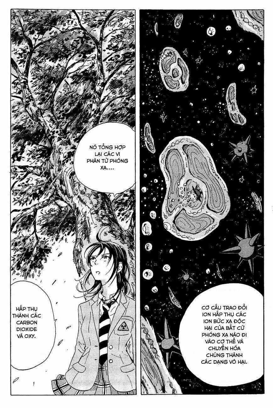 Cúp Quốc Sư Tử Chapter 13 trang 20