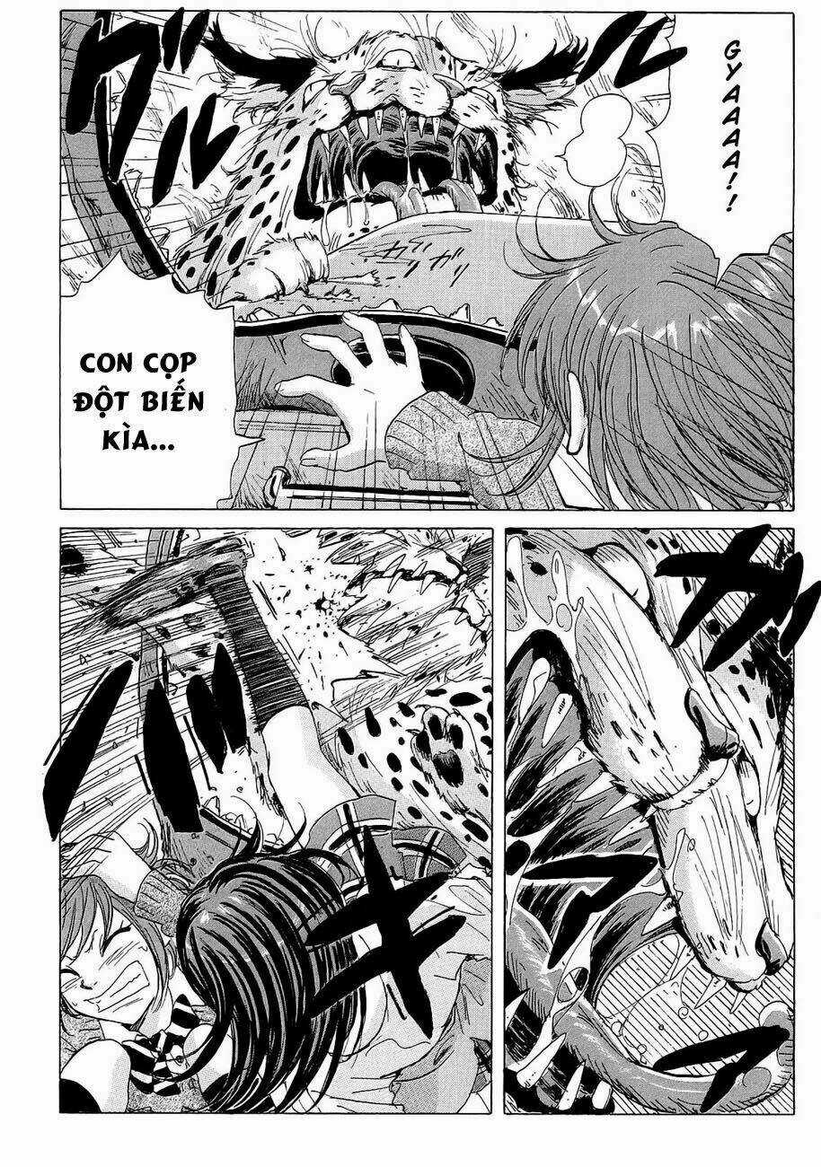 Cúp Quốc Sư Tử Chapter 20 trang 10