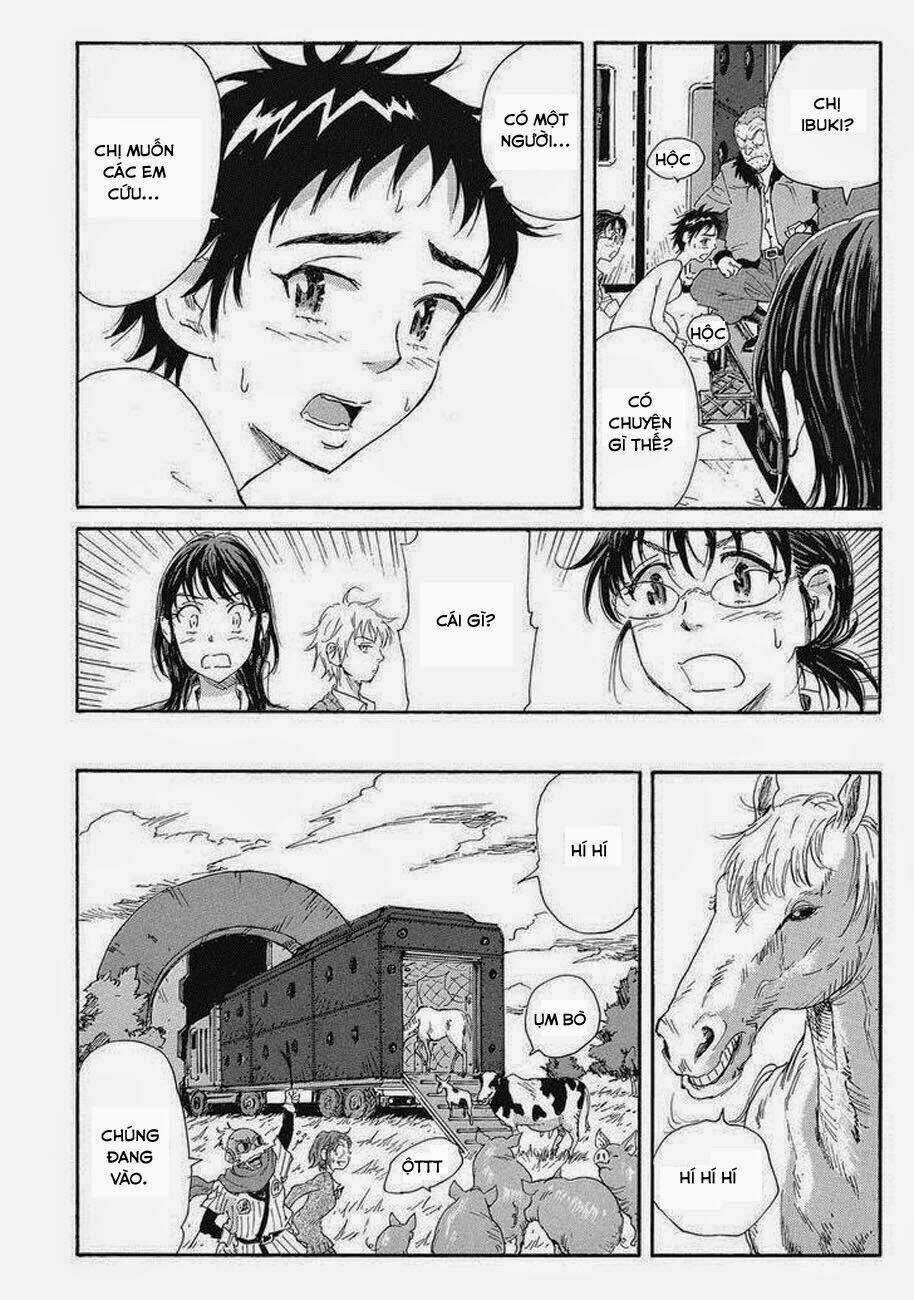 Cúp Quốc Sư Tử Chapter 47 trang 6