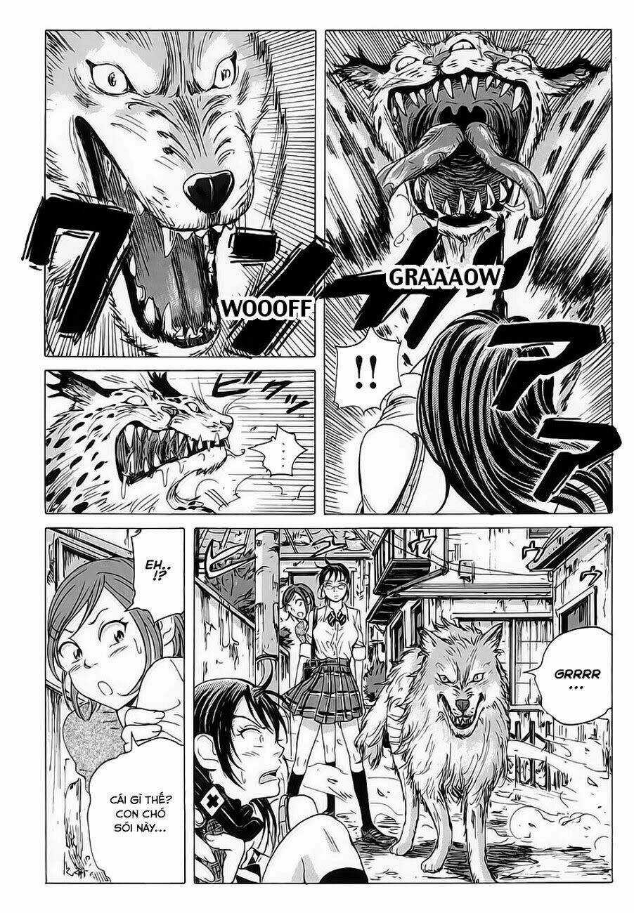 Cúp Quốc Sư Tử Chapter 5 trang 16