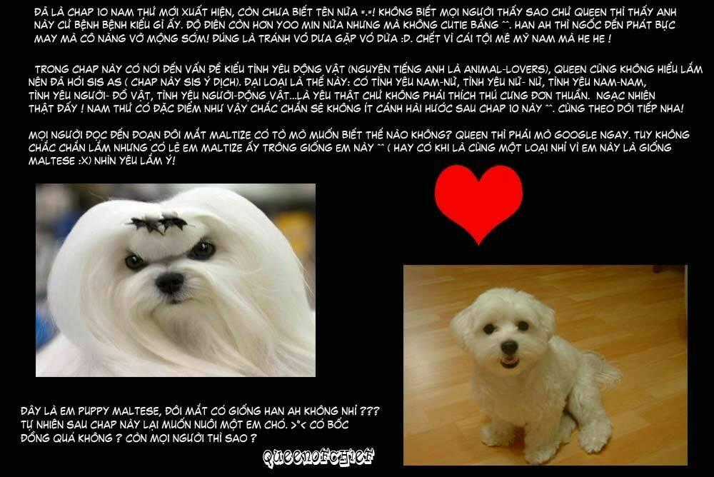 Cutie Boy Chapter 10 trang 50