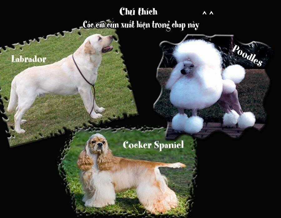 Cutie Boy Chapter 12 trang 53