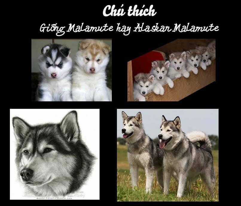 Cutie Boy Chapter 15 trang 57