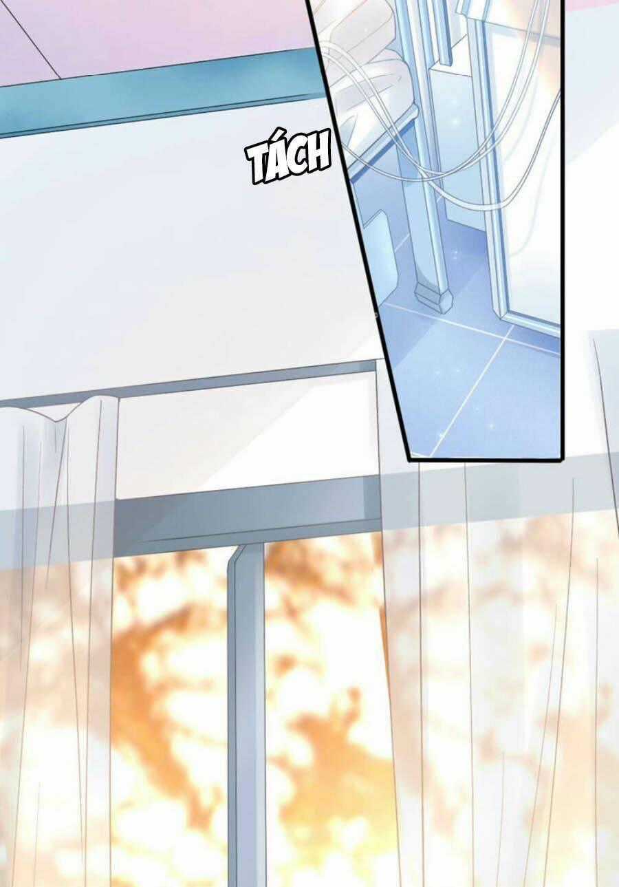 Cựu Ái Tân Nhan Chapter 3 trang 1