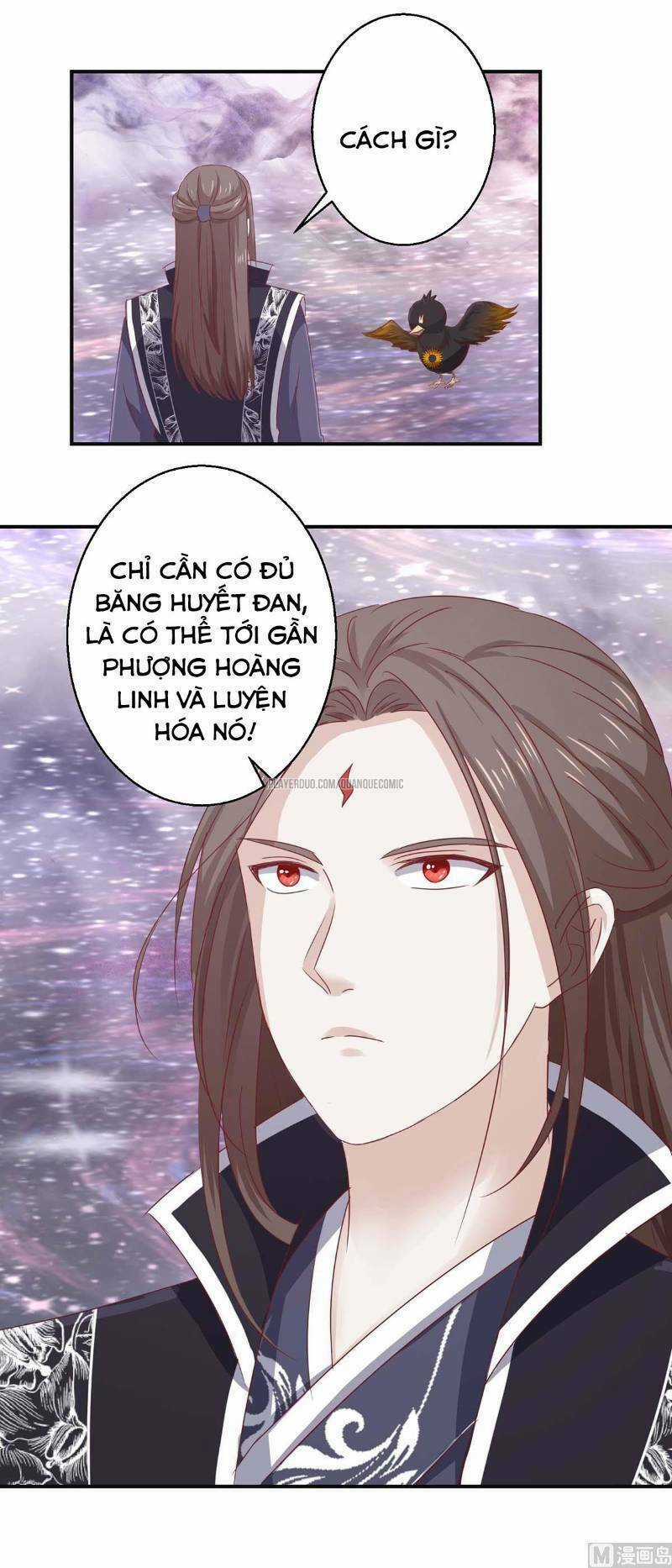 Cửu Dương Đế Tôn Chapter 111 trang 14