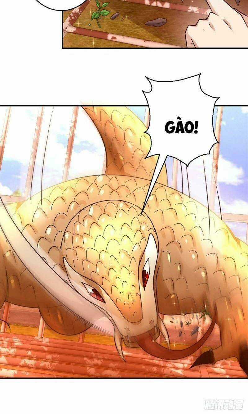 Cửu Dương Đế Tôn Chapter 156 trang 11