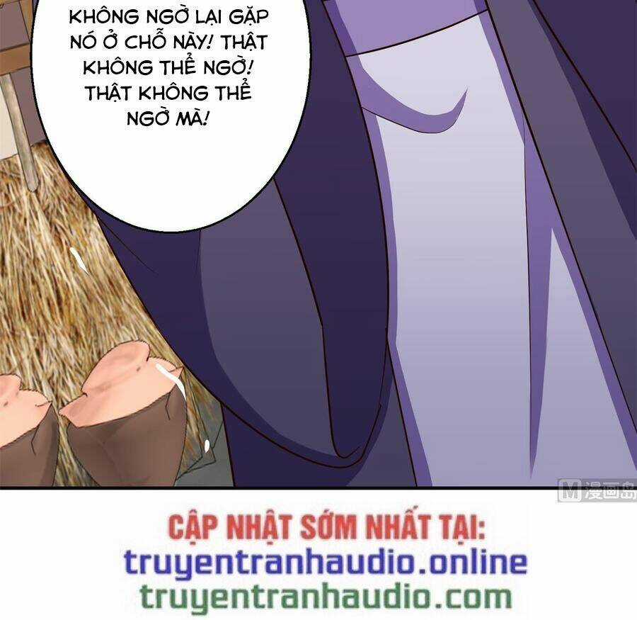 Cửu Dương Đế Tôn Chapter 186 trang 10