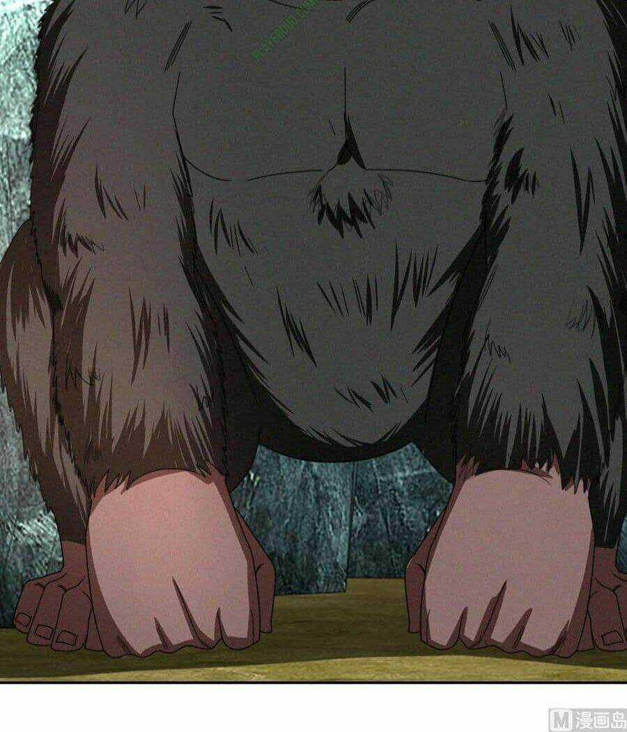 Cửu Dương Đế Tôn Chapter 50 trang 3