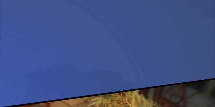 Cửu Hoang Đọa Huyền Sư Chapter 14 trang 3