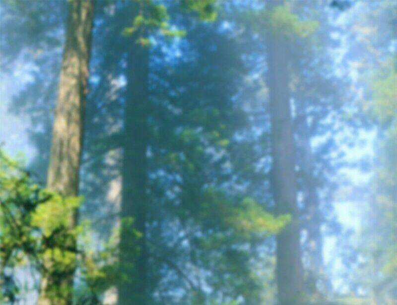 Cửu Hoang Đọa Huyền Sư Chapter 20 trang 2