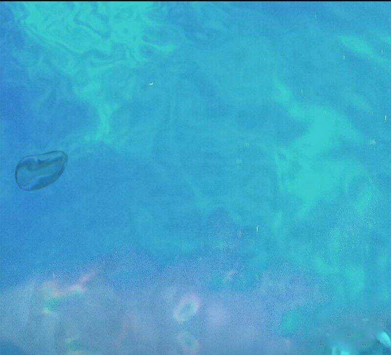 Cửu Hoang Đọa Huyền Sư Chapter 20 trang 24