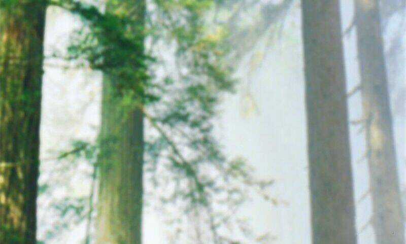 Cửu Hoang Đọa Huyền Sư Chapter 20 trang 4