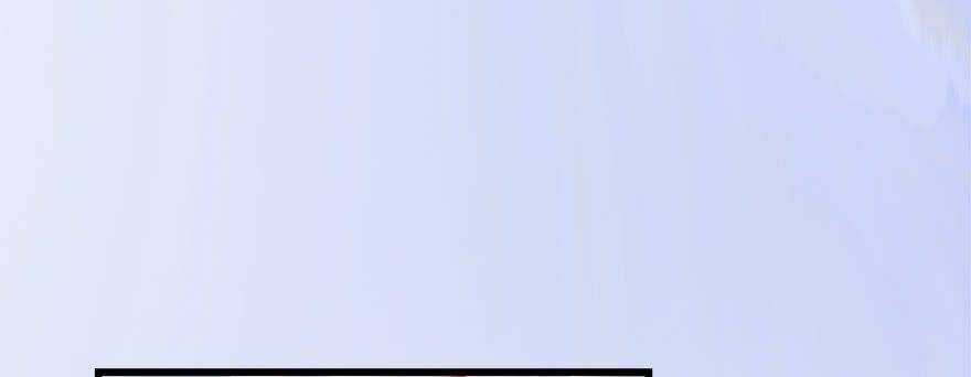 Cửu Hoang Đọa Huyền Sư Chapter 9 trang 17