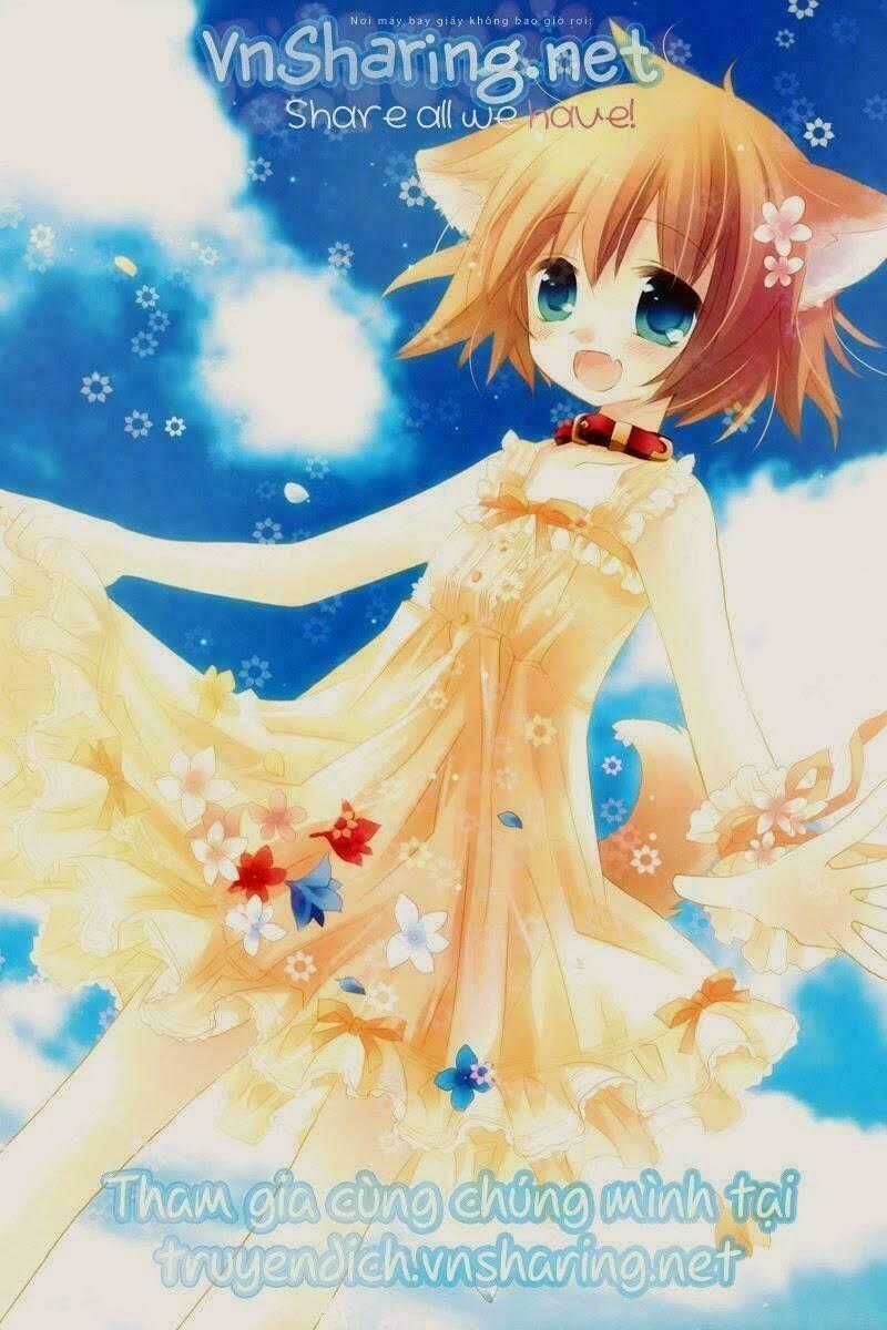 Cửu Vĩ Hồ Ly - Doujinshi Narusasu Chapter 49 trang 1