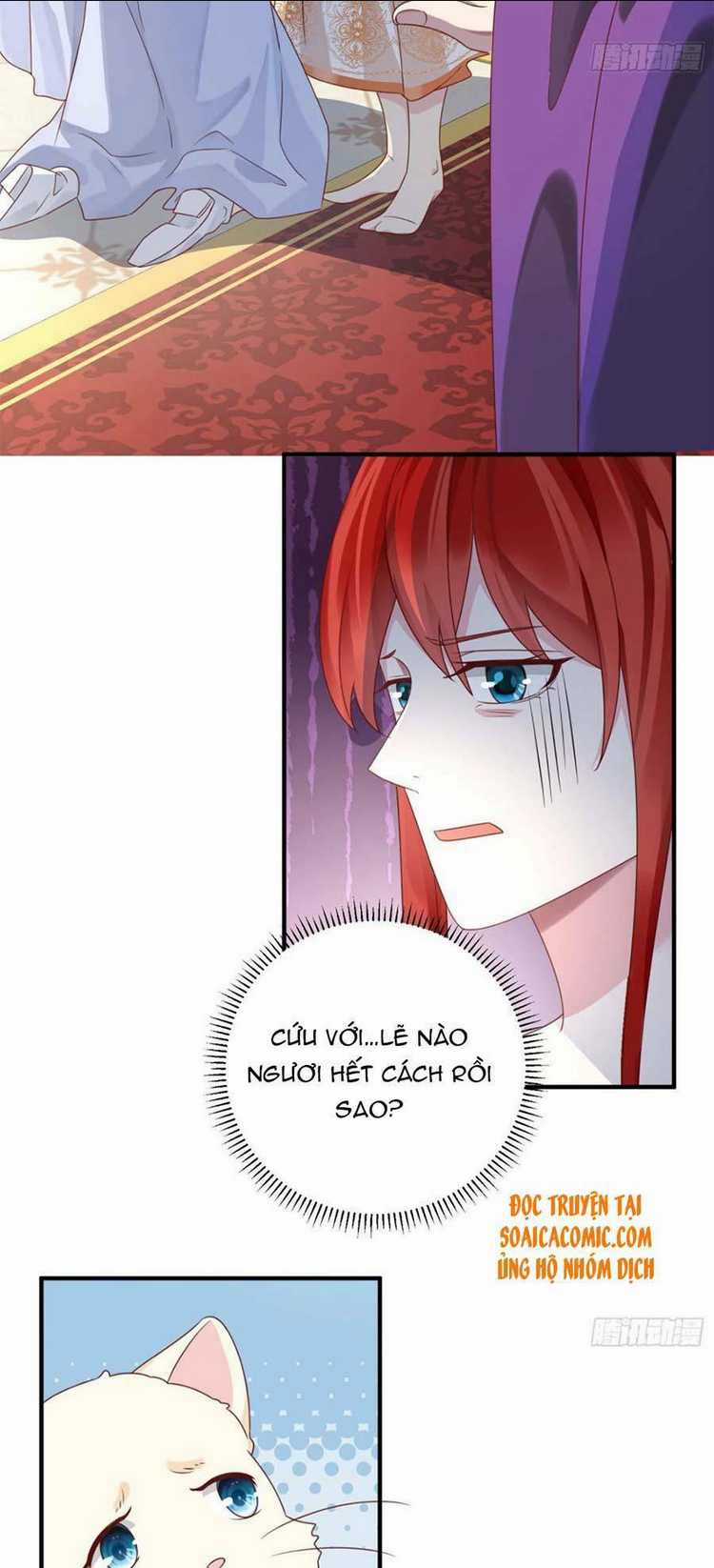 Dã Nam Nhân Đều Muốn Gả Cho Ta Chapter 13 trang 10