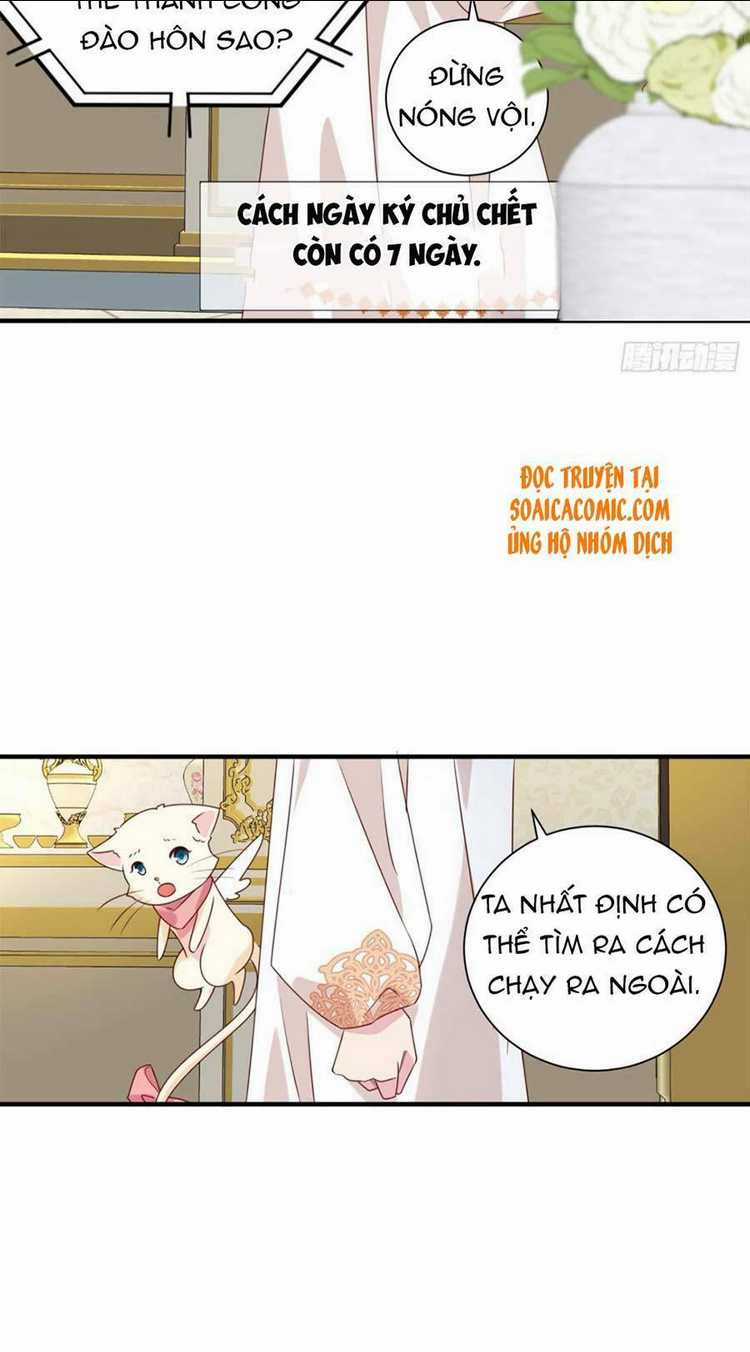 Dã Nam Nhân Đều Muốn Gả Cho Ta Chapter 14 trang 4