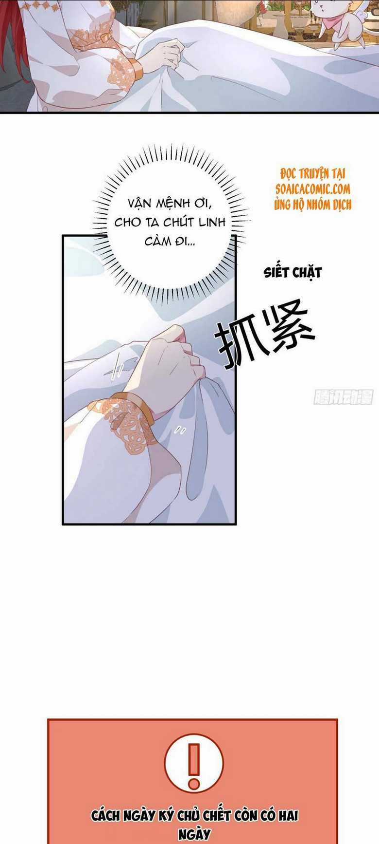 Dã Nam Nhân Đều Muốn Gả Cho Ta Chapter 15 trang 3