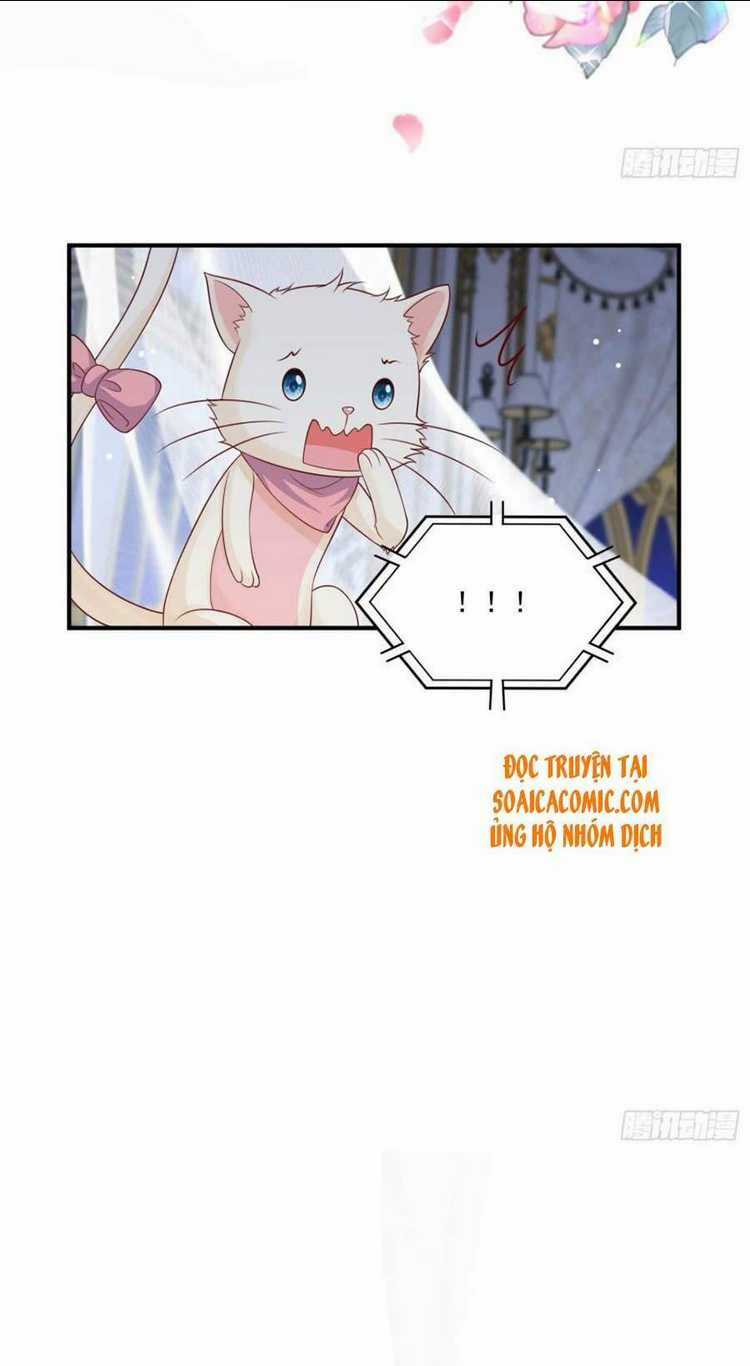 Dã Nam Nhân Đều Muốn Gả Cho Ta Chapter 18 trang 5