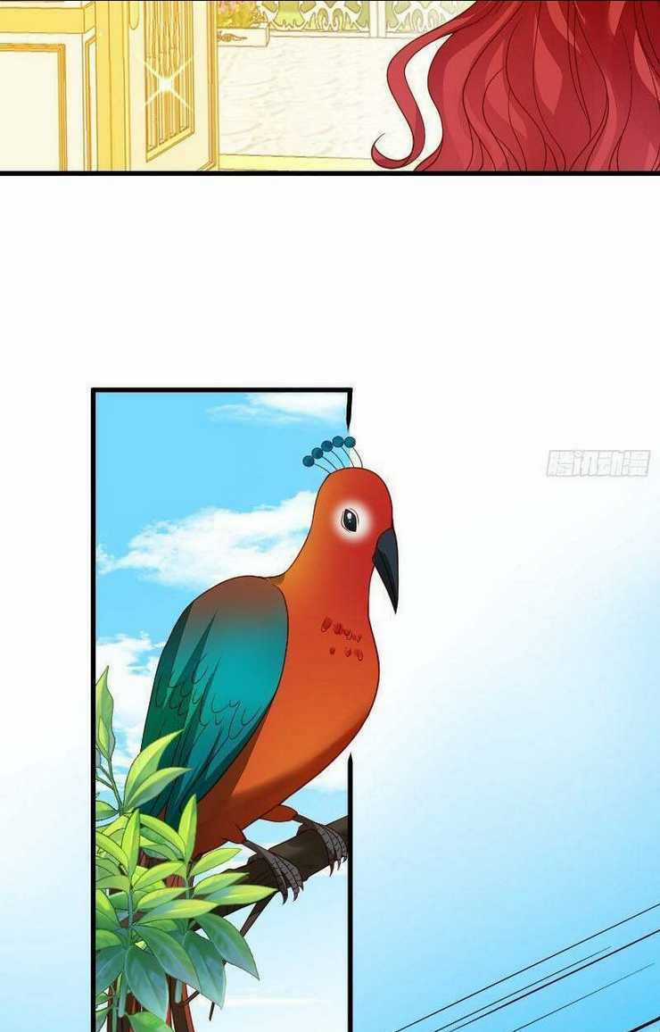 Dã Nam Nhân Đều Muốn Gả Cho Ta Chapter 39 trang 1