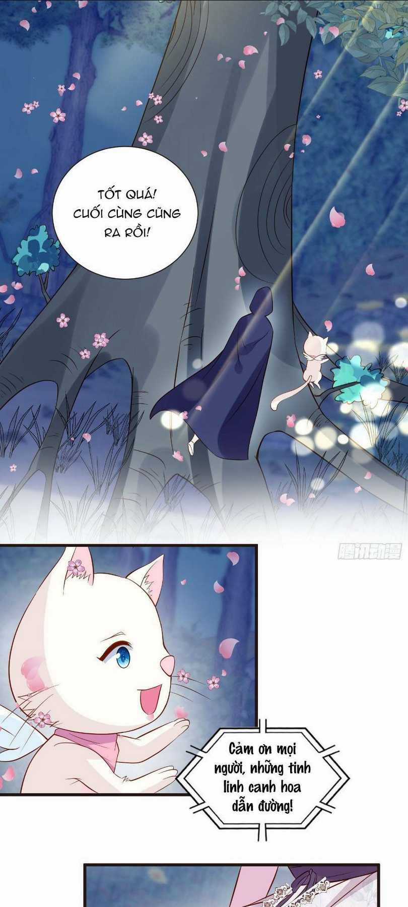 Dã Nam Nhân Đều Muốn Gả Cho Ta Chapter 50 trang 2