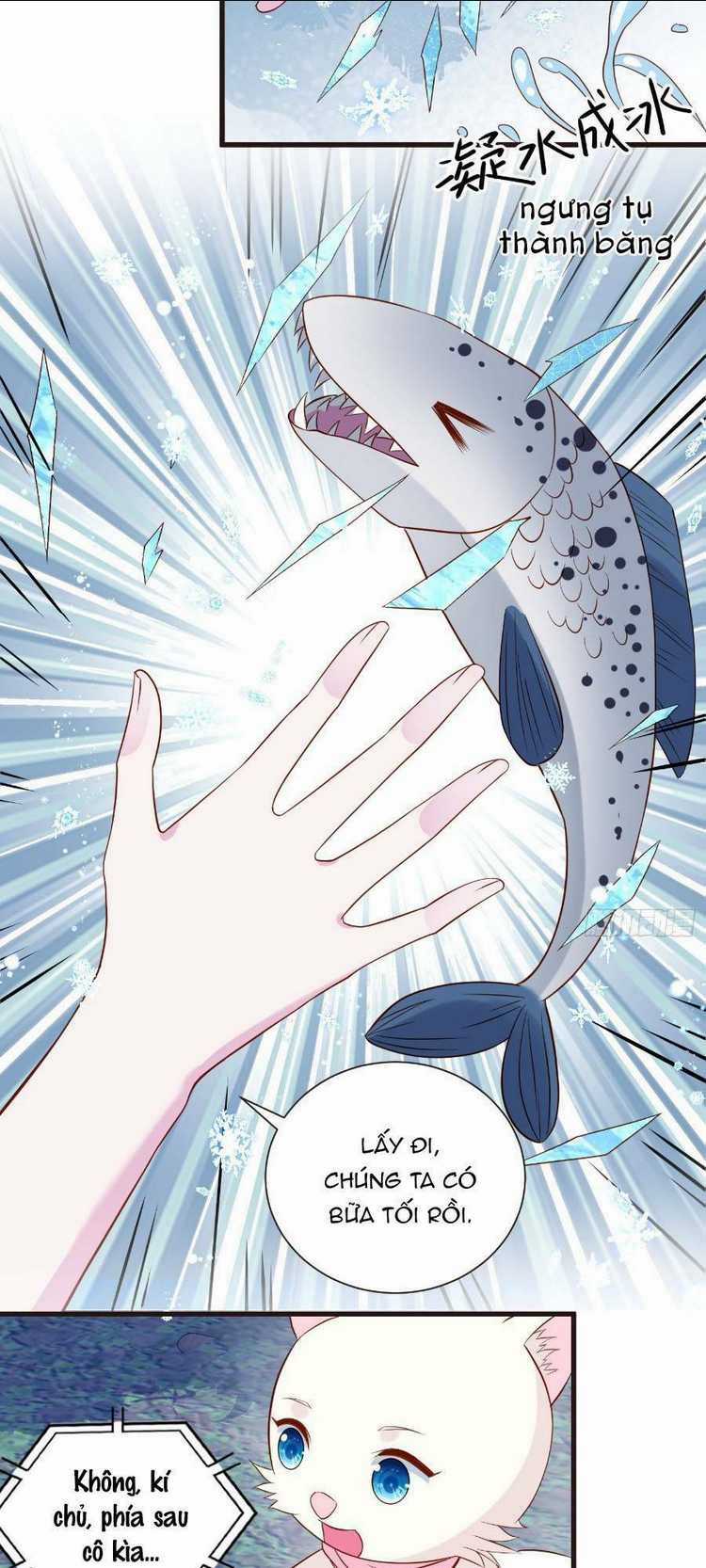 Dã Nam Nhân Đều Muốn Gả Cho Ta Chapter 50 trang 6