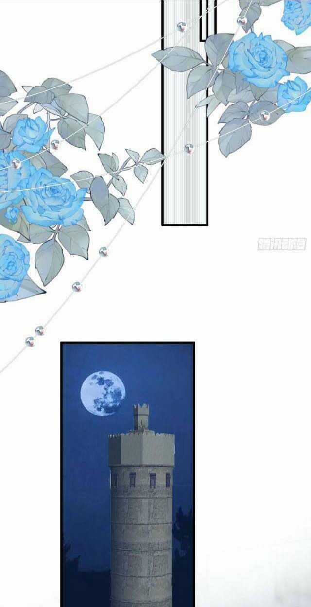 Dã Nam Nhân Đều Muốn Gả Cho Ta Chapter 62 trang 12