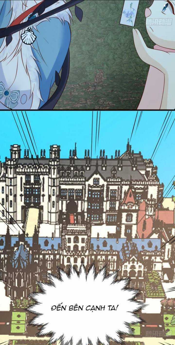 Dã Nam Nhân Đều Muốn Gả Cho Ta Chapter 81 trang 20