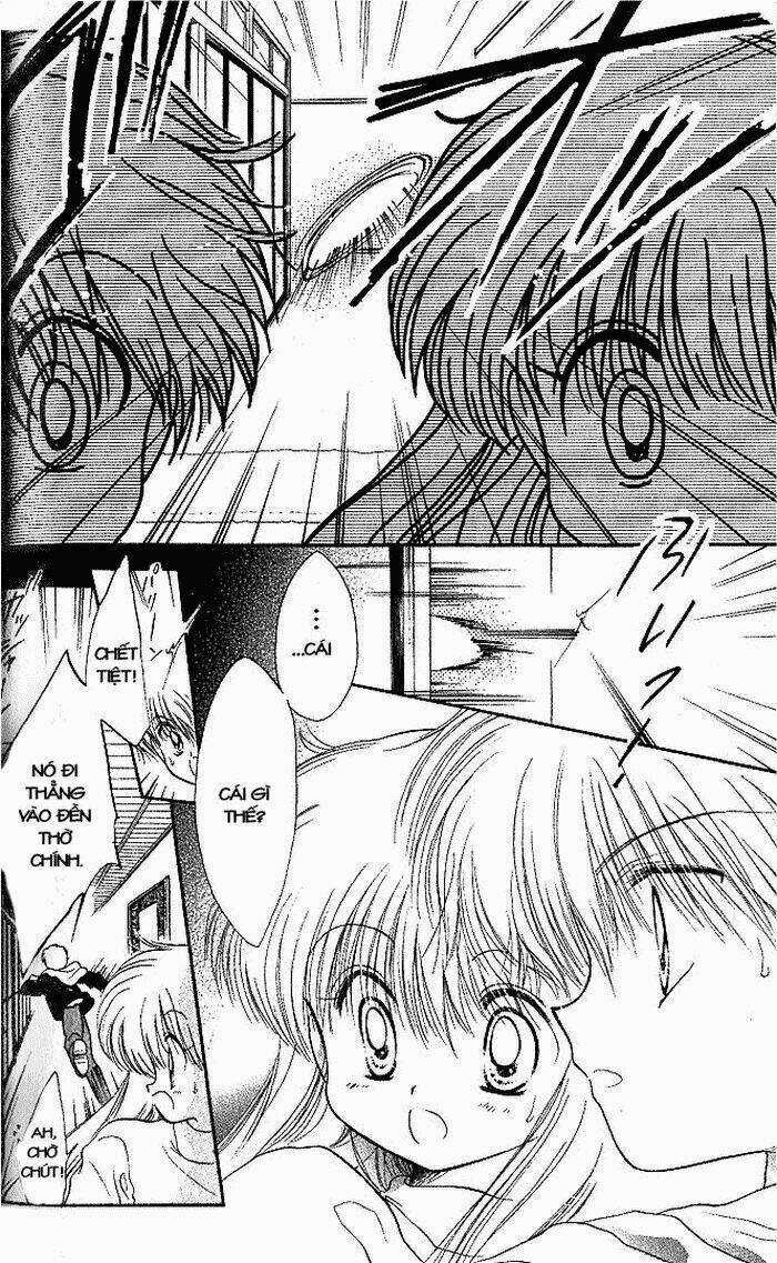 Daa! Daa! Daa! Chapter 1 trang 29