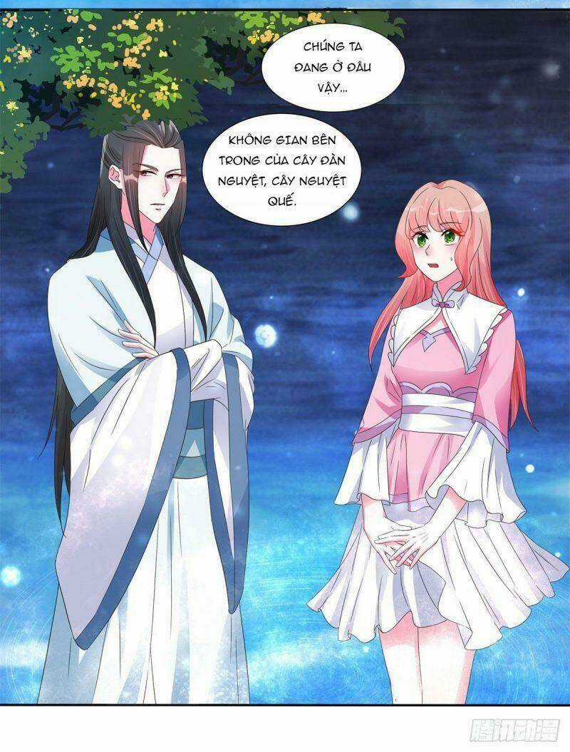 Đặc Công Cuồng Phi: Tuyệt Thế Tu Chân Chapter 21 trang 20