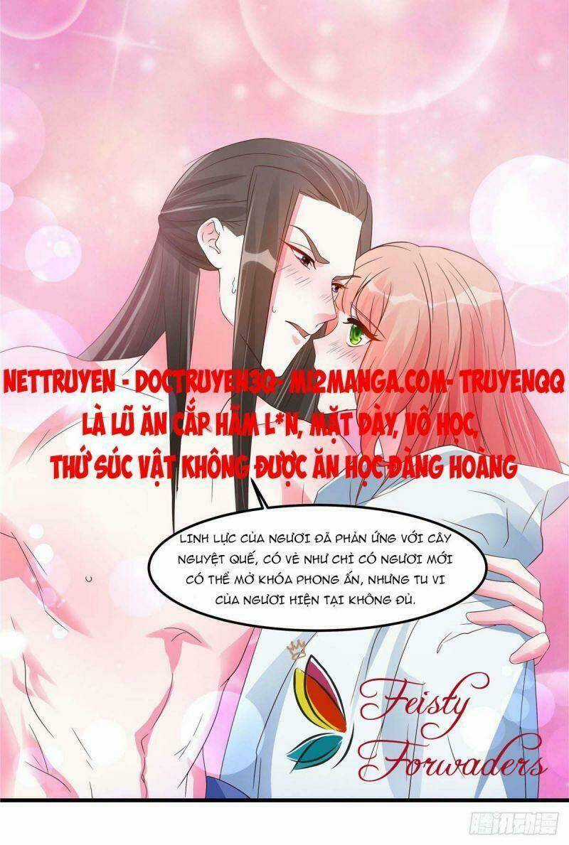 Đặc Công Cuồng Phi: Tuyệt Thế Tu Chân Chapter 22 trang 12